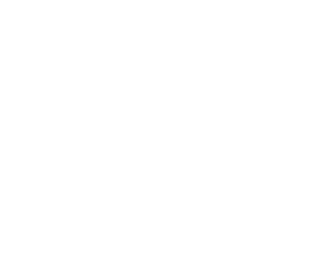 StoryTreeProject_WhiteOnTransparent
